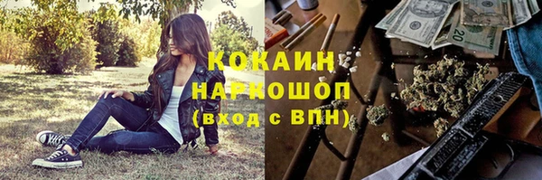 эйфоретик Губаха